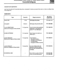 Djet Manuel de réparation Moteur C Cléon 1100cm3